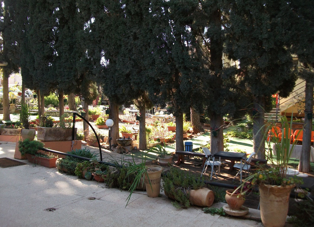 Safed Inn Ngoại thất bức ảnh